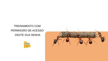 Equipe Equipe